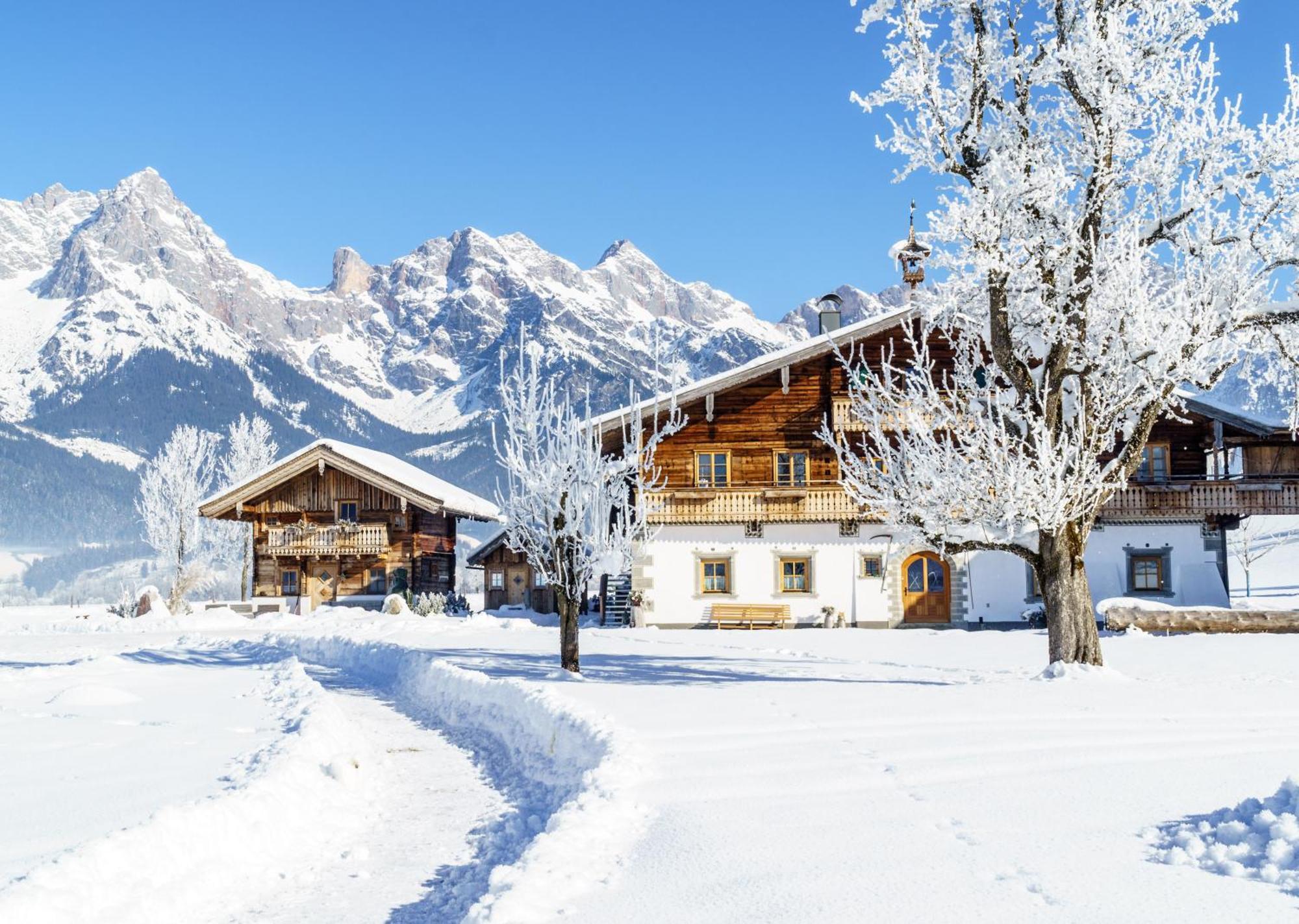Hoferbichlgut Apartment Saalfelden ภายนอก รูปภาพ